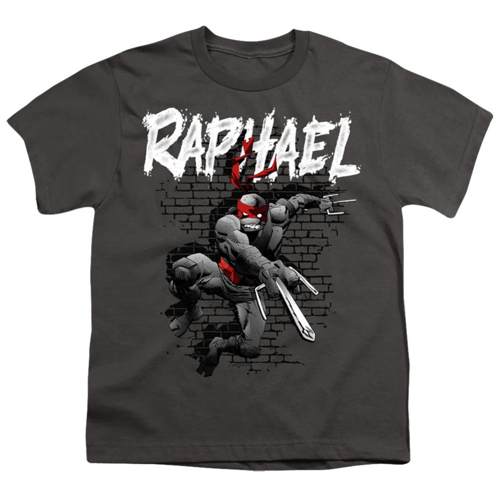 Teenage Mutant Ninja Turtles Raphael Youth T-Shirt