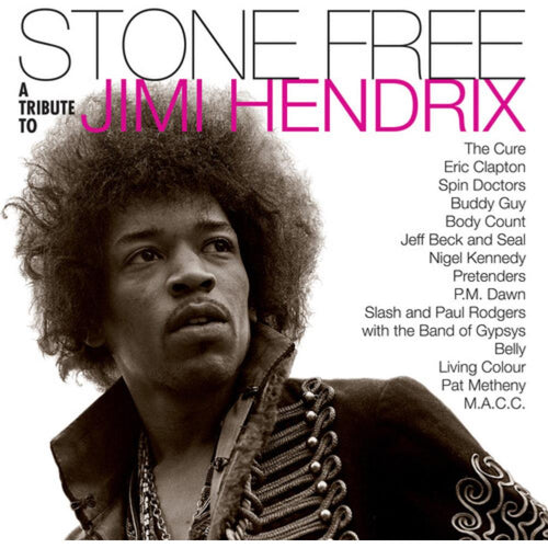 Various Artists - Stone Free: Jimi Hendrix Tribute - Vinyl LP